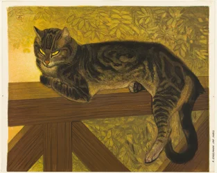 Sommer: Katt på en balustrade