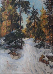 Skoginteriør, vinter