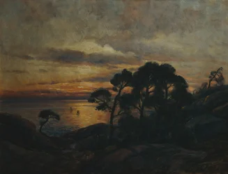 Pinetre ved solnedgang