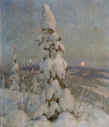 Snødekket gran i måneskinn (olje på lerret)