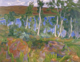 From Røros