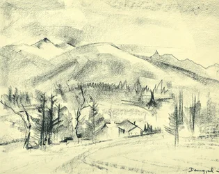 Fjellhytte
