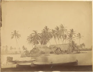 [Limón Bay, Isthmus of Darién (Panama)]