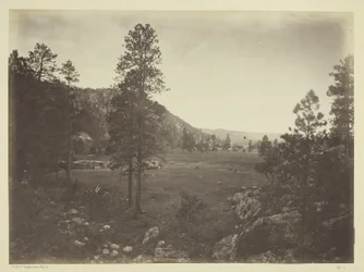 Cooley#39;s Park, Sierra Blanca-fjellkjeden, Arizona