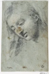 Head of a Woman (kull på papir)
