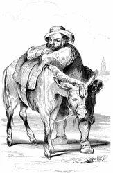 Sancho Panza (Panca), væpneren til Don Quijote (Quijote, Quixote), og eselet hans. Illustrasjon til Cervantes
