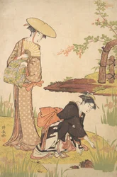 Iris-hagen, ca. 1784