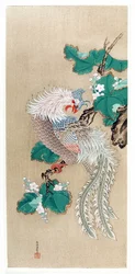 Japan: representasjon av en føniks (phoenix). Silkemaleri av Tosa Mitsuoki (1617–1691)