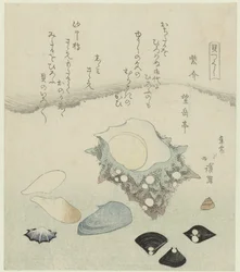 Lilla skall, ferskvannsmuslinger og et turbanskall Murasakigai shijimi sazae (tittel på objekt) En serie med skjell (serietittel) Kaitsukushi (serietittel på objekt)
