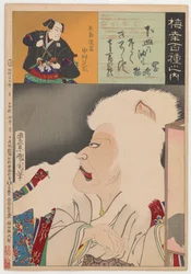 Okazaki-katten (Okazaki Neko)