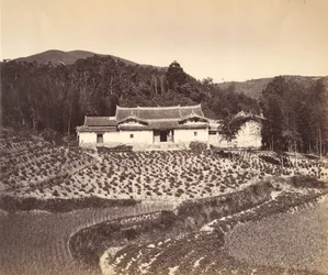 Teafield & Josshouse i Peling, ca. 1869.
