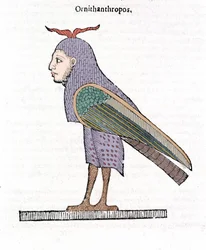 Ornithanthropos. Fugl med menneskehode. Ulisse Aldrovandi ""Monstrenes historie"" Bologna 1642