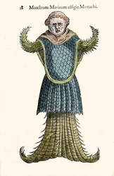 Sjømunken, den imaginære fisken og det marine monsteret av Ulisse Aldrovandi (1522-1605), "Monstrorum Historiae", Bologna 1642