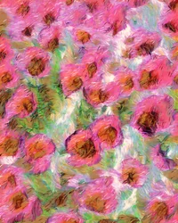 Drømmende rosa blomster