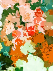 Fargerike blomster i hagen