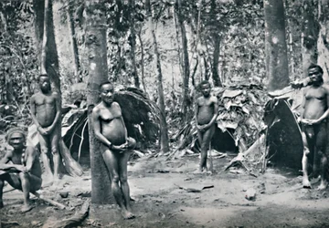 En pygmélandsby, Nordøst-Kongo-bassenget, 1912