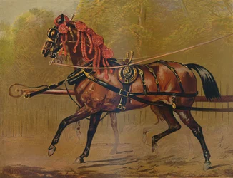 En statlig vognhest, c1879.