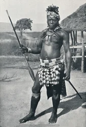 En Zulu-høvding, 1902