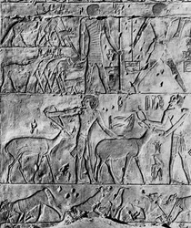 En jaktscene fra graven til Ptahhotep, nær Saqqara, Egypt, c2650 f.Kr. 1936