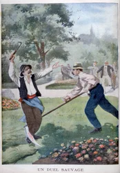 En vill kamp som involverte høsteredskaper, 1902