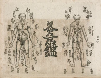 Akupunkturkart for menneskekroppen som viser moxibustion-punkter (Moxabustion-diagram som viser hvor aper bør unngås