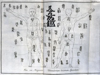 Akupunktur: kart over menneskekroppen med angivelse av moksibustionspunkter, Japan (kart om moxa, ca. 1690)