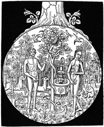 Adam og Eva, 1505 1964