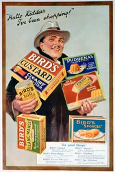 Annonse for fuglemat, 1920