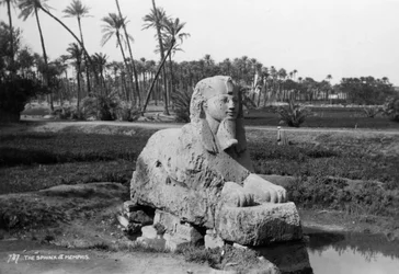 Alabaster sfinks i Memphis, Egypt, c1920-c1930s