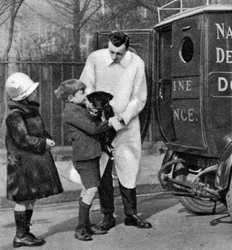 Ambulanse fra National Canine Defense League, London, 1926-1927