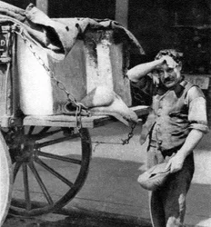 En ismann med vognen sin, London, 1926-1927