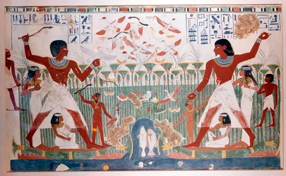 Gamle egyptere jakter villfugler med kastepinner
