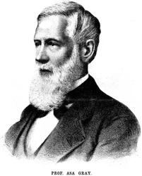 Asa Gray , amerikansk botaniker, 1888