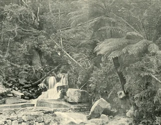 Ved St. Crispins Well, 1901.