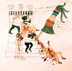 Aztekisk tempeloffer