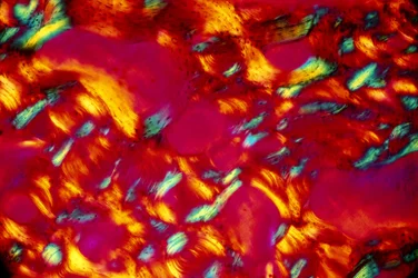 BIO-MATERIALER, LM Bone