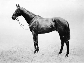 Bayard, 1911