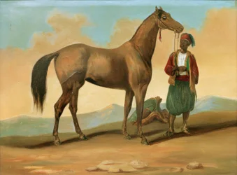 Beduin med arabisk hest