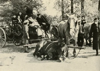 Belgiske flyktninger på veien, 1939-1940, 1941.