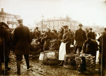 Fuglemarked, Trubnaya-plassen, Moskva, Russland, 1908