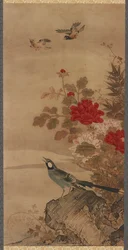 Fugler og blomster, Edo-perioden, 1700-tallet.