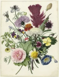 En haug med blomster. 1680