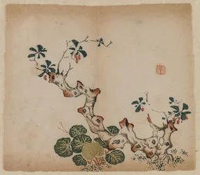 Grenstubbe, 1368-1644.