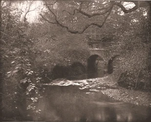 Bekk og bro i New Forest, Hampshire, 1894.
