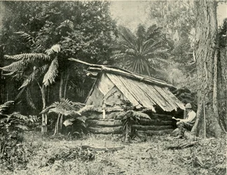 Bush Hut, Dandenong Ranges, Victoria, 1901.