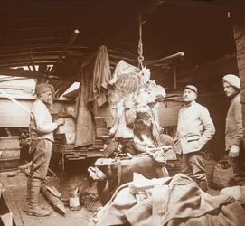 Slaktere på en lekter, Somme, Nord-Frankrike, c1914-c1918