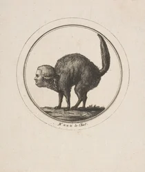 Karikatur som viser Comte de Provence som en katt, 1700-tallet.