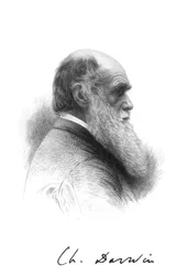 Charles Darwin, engelsk naturforsker, c1880