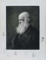 Charles Darwin, engelsk naturforsker, ca 1860-tallet