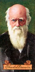 Charles Darwin, hentet fra en serie sigarettkort, 1935